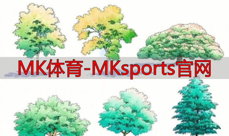 MK体育-MKsports官网