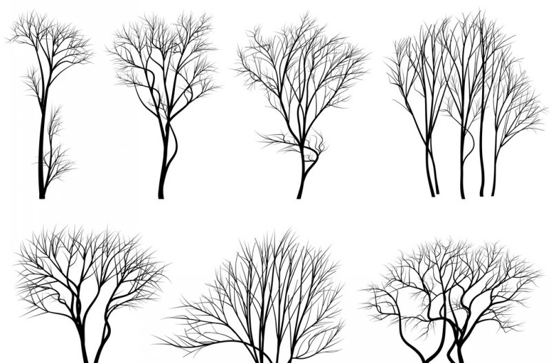 MK体育-MKsports官网