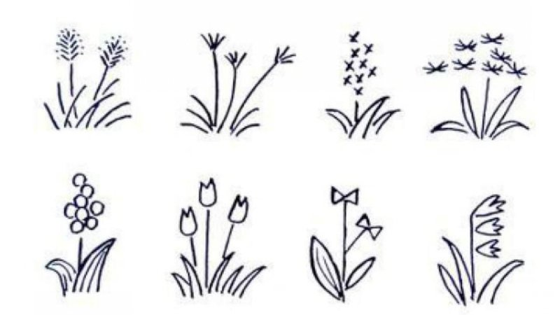 MK体育-MKsports官网