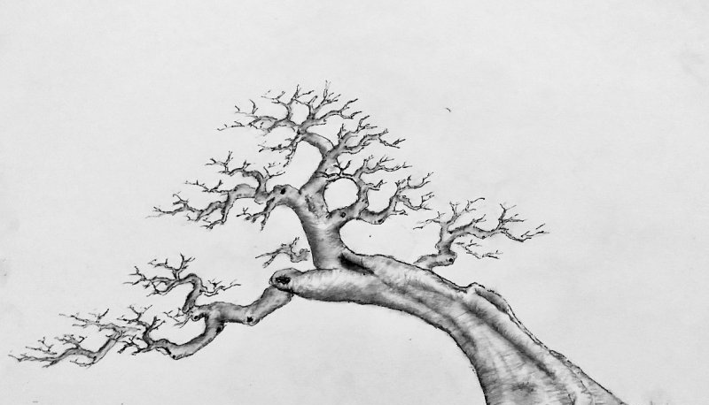 MK体育-MKsports官网