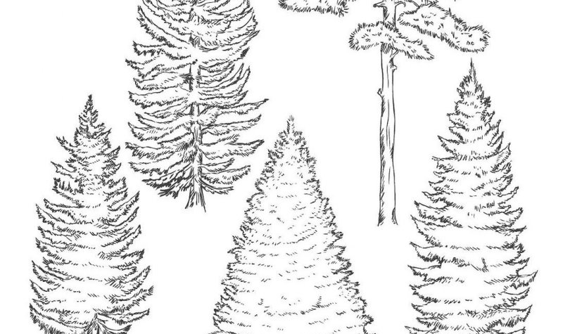 MK体育-MKsports官网