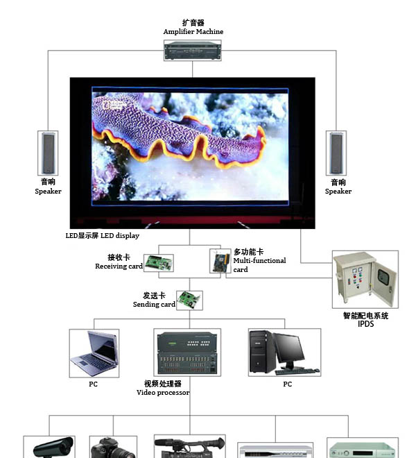 MK体育-MKsports官网