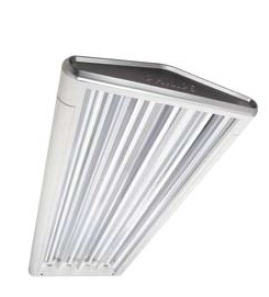 MK体育-MKsports官网